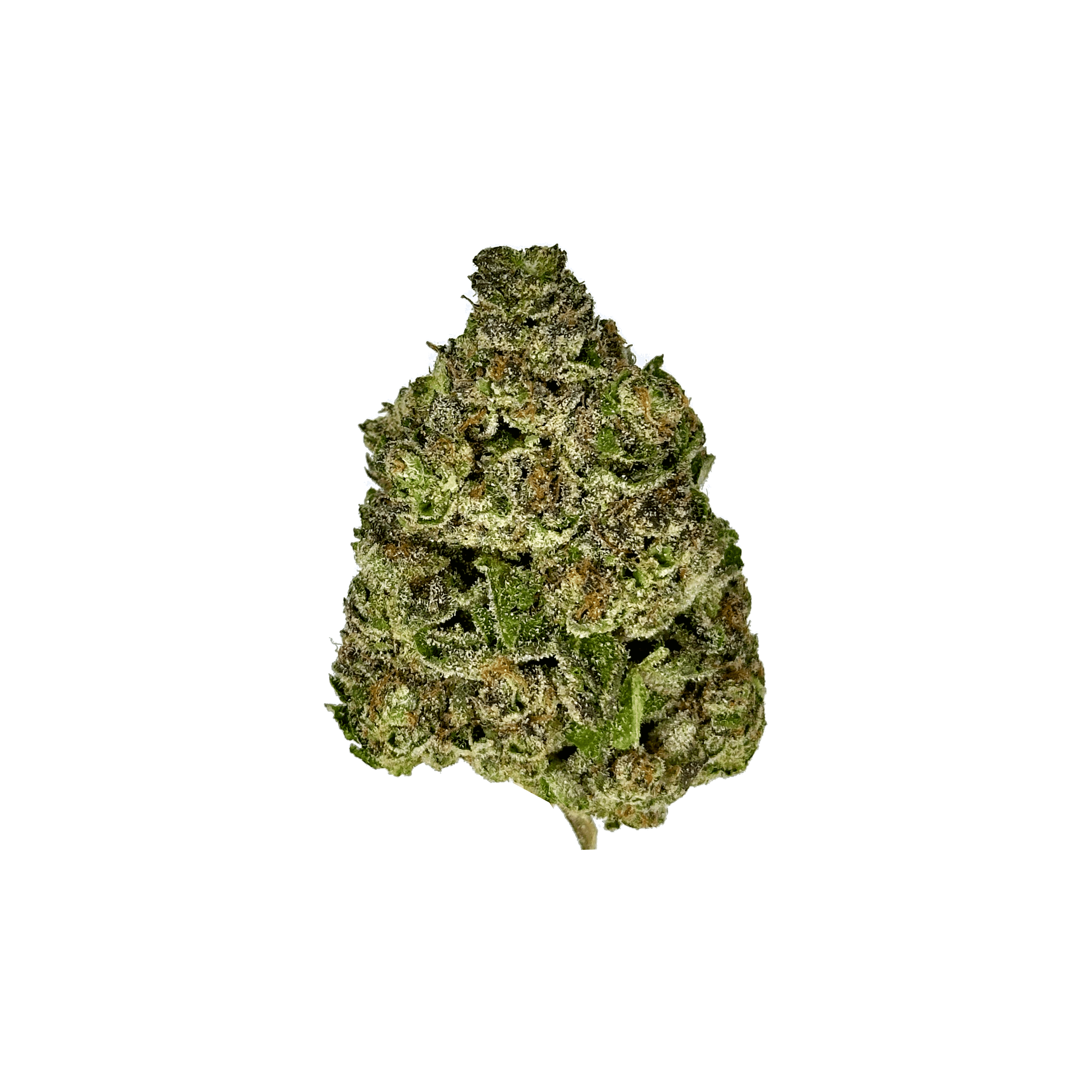 Rainbow Belts THCa Flower